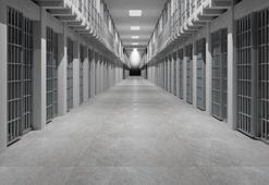 Açık cezaevi hükümlülerinin salgın izni 31 Mayıs'ta bitecek