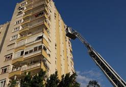 12'nci kattan 11'inci kata düşen 'Miço' itfaiye tarafından kurtarıldı