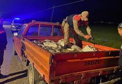 Van'da kaçak avlanan 1 ton inci kefali ele geçirildi
