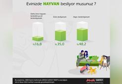 “Vatandaşlar sokak hayvanlarını değil, saldırgan köpekleri tehlikeli buluyor”