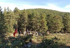 Ayman Yaylası'nda 'ÇED gerekli değildir' kararına mahkemeden iptal