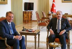 TBMM Başkanı Şentop, ABD Büyükelçisi Flake'i kabul etti