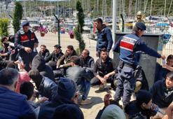 Düzensiz göçle mücadelede 'huzur' uygulaması: 29 gözaltı
