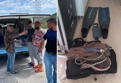 İzmir'de deniz patlıcanı avlayan 6 kişiye 44 bin 574 TL ceza