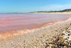 Karadeniz'de korkutan renk değişimi