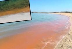 Karadeniz'de korkutan renk değişimi
