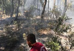 Çocukların oynadığı maytaplar, yangın çıkardı