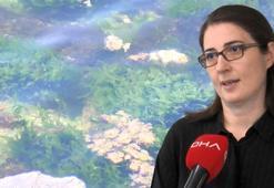 Denizanaları ve müsilajla ilgili dikkat çeken uyarı