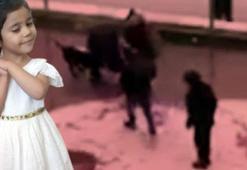 Asiye'ye pitbull saldırısında tutuklu 3 sanık, 3'üncü kez tahliye oldu