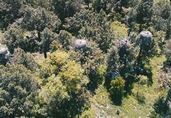 Leylekler Vadisi'nin konukları kuluçkaya yattı