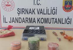 Şırnak kırsalında ele geçirilen patlayıcı maddeler imha edildi