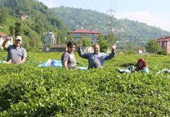 Rize'de 'çay göçü' ile nüfus 4'e katlandı