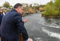 Van Valisi, inci kefalinin göçünü izledi