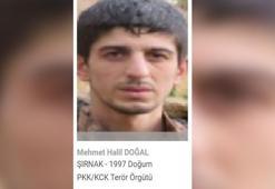 Terörden arananlar gri kategorideki terörist etkisiz hale getirildi