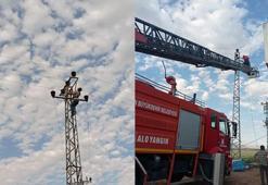 12 metrelik elektrik direğinde asılı kaldı, itfaiye kurtardı