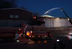 Gaziantep’te geri dönüşüm fabrikasında yangın