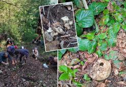 Ormanda insan kafatası ve kemikleri bulundu