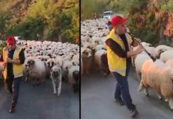 Koyun sürüsünü klarnet çalarak yaylaya çıkardı