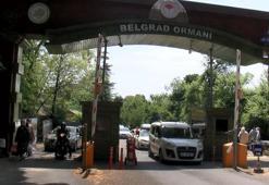 Belgrad Ormanı'na piknikçi akını