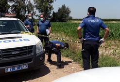 Adana’da mısır tarlasında erkek cesedi bulundu