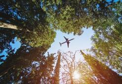 Küresel turizm 2050'ye kadar 12 milyon katı atık üretecek