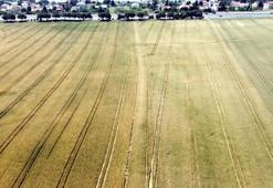 Prof. Dr. Orta: Türkiye, meteorolojik ve zirai kuraklık yaşıyor