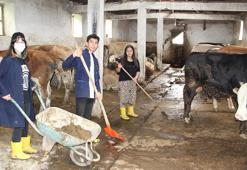 Dersimiz; hayvan yemlemesi, ahır temizliği