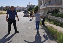 Tire'de 6 köpek ile 2 kedi zehirlenerek öldürüldü