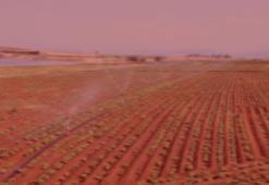 Modern Basınçlı Sulama Tesisleri Projeleri'ne 300 milyon TL hibe