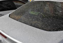 Sivas'ta toz taşınımı etkili oldu