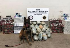 TIR'daki 51 kilo esrarı 'Erez' buldu