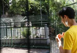 LGS sınavı öncesi Zuhuratbaba Türbesi’nde dua ettiler