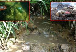 Karadeniz'in dibi çöplüğe dönmüş