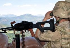 DHA ekibi, Sehi Ormanları'nın güvenliğinin sağlandığı üs bölgesini görüntüledi