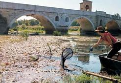 İspanyol akademisyen Begona, 6 yıldır plastik atıklarla mücadele ediyor