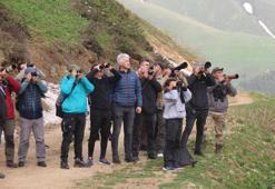 Rize'deki şenlikte sabahın ilk ışıklarıyla dağ horozu gözlemlediler