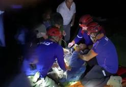 Sürüsüne saldıran kurda ateş ederken arkadaşını vurdu