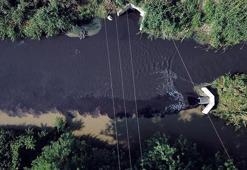 Nilüfer Çayı'ndaki analizde 'en kötü' sonuç