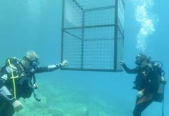 Waste container lowered under water in Antalya