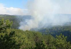 Göynük'te, ormanda çıkan yangın kontrol altına alındı
