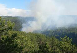 Göynük'te orman yangınında 1 hektar alan zarar gördü