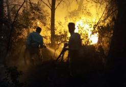 İzmir'de orman yangını kontrol altına alındı