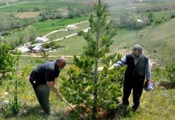 Kardeşler, çocukluk hayalleri orman için 12 bin fidan dikti