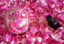 1100 rakımda toplanan bitkiler kozmetik ürünlere dönüştürülüyor