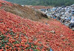 Antalya'da çöpe dökülen sebzelerle ilgili açıklama: Sofraya uygun değiller