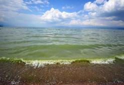İznik Gölü, alg patlaması nedeniyle yeşile büründü