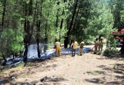 Ormanı yakan madde bağımlısı tutuklandı