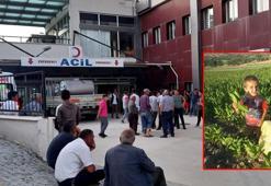 Süt taşıyan kamyonetin çarptığı Miraç hayatını kaybetti