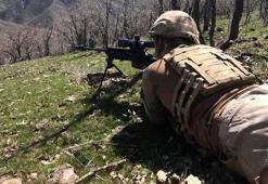 Lice'de Eren Abluka 15 narko terör operasyonu başlatıldı