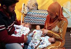 Çadırda doğan dördüzlere Barış, Pınar, Fırat ve Rıfat isimleri verildi